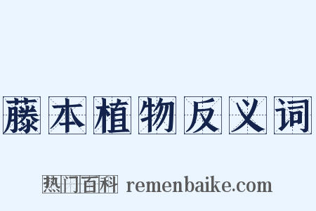 藤本植物反义词是什么意思的图片
